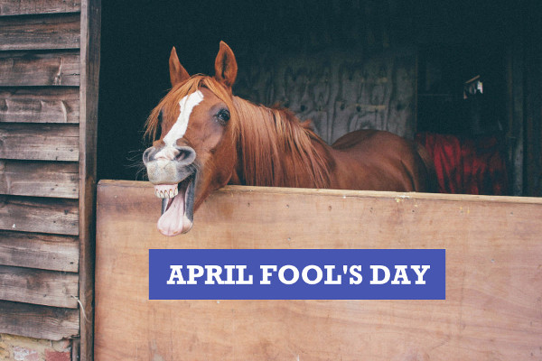 How to Have the Most Fun on April Fool's Day? - Traditions, Workplace Pranks, Celebrations