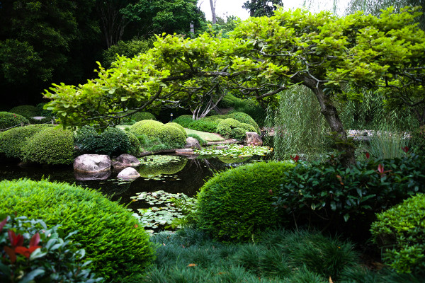 What Things and Activities Can You Do in a Botanical Garden?
