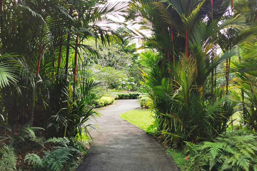 botanical garden