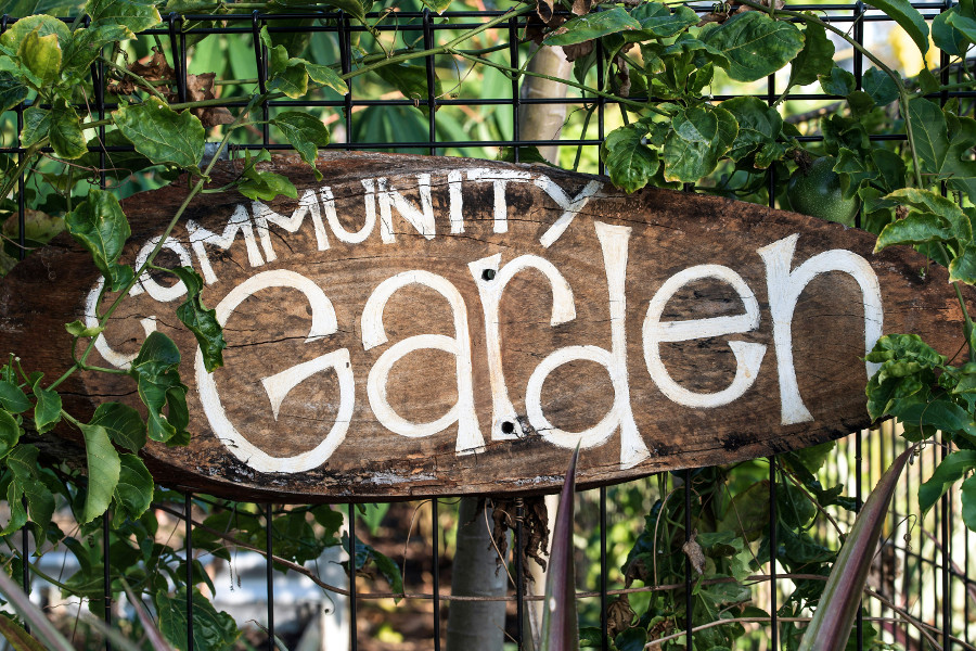 community gardening
