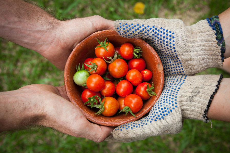 community gardening