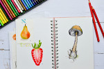 Learn to Draw Through Joining a Drawing Class