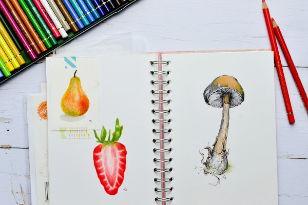 How to Learn to Draw Through Joining a Drawing Class for Beginners - Essential Tips