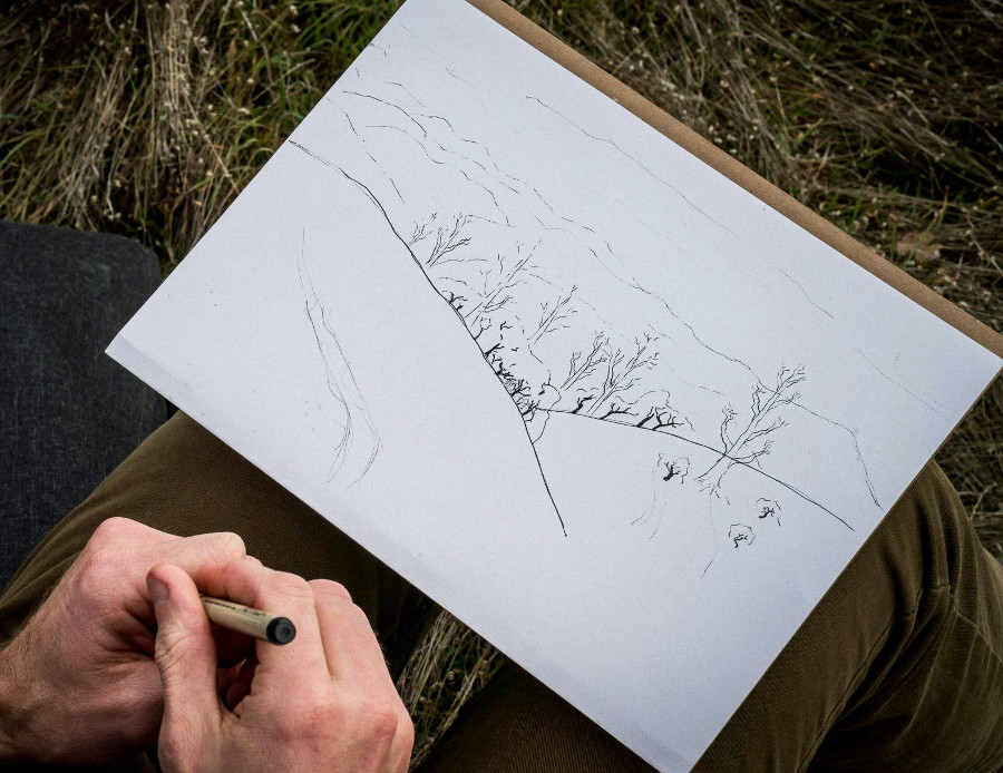 learn to draw