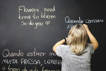 Start learning a foreign language