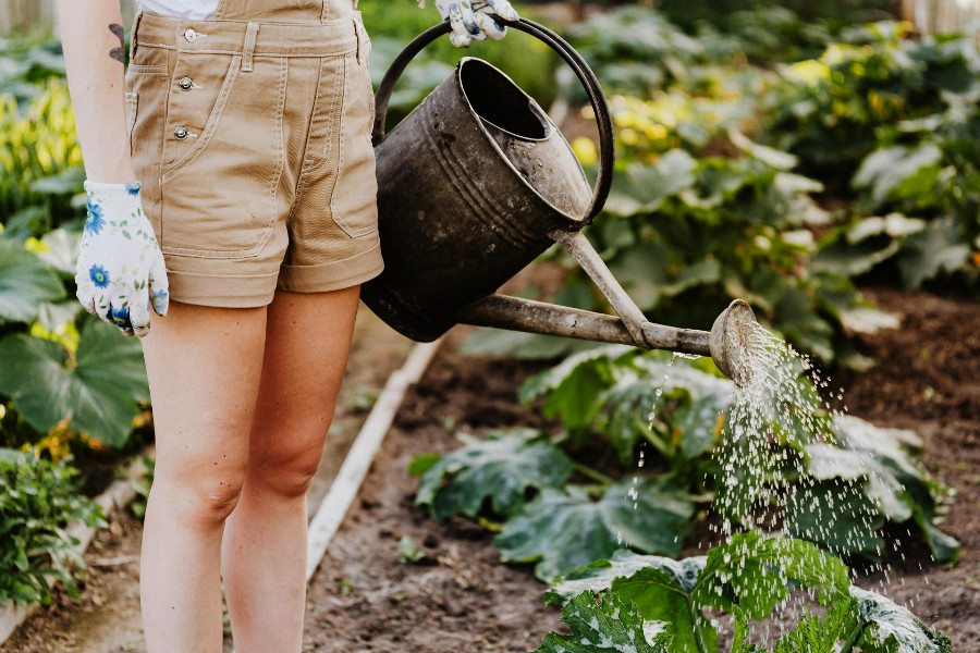 gardening
