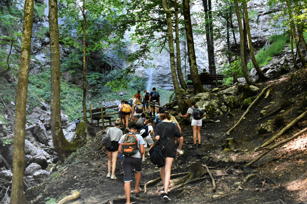 How to Have the Most Fun Joining a Group Excursion?