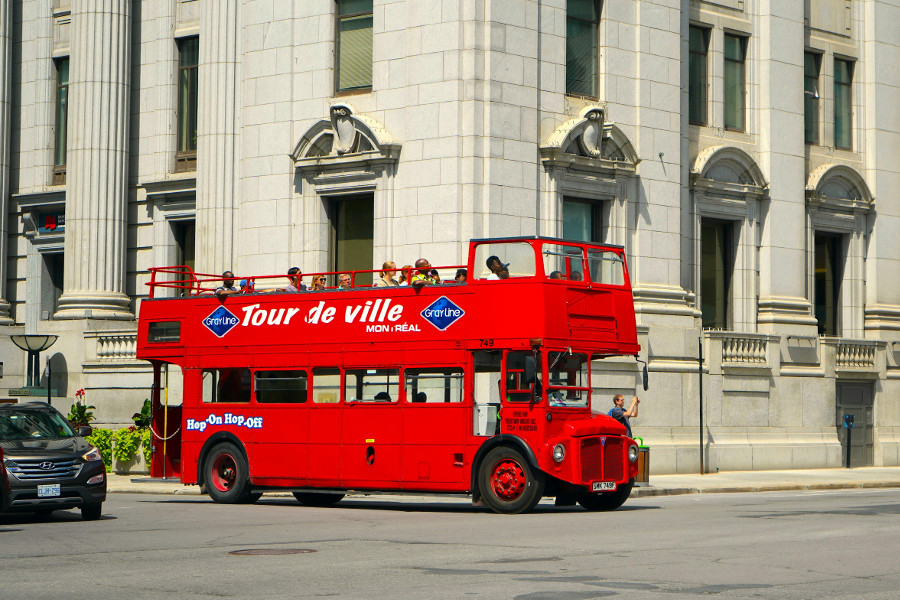 hop-on hop-off bus tours