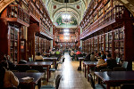 Visit the local library