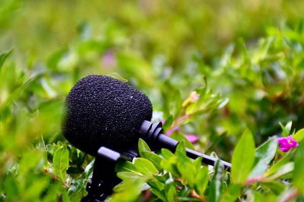 How-to Guide for Recording Nature Sound for Stress Relief