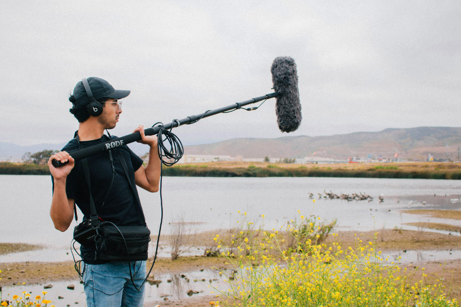 record nature sound