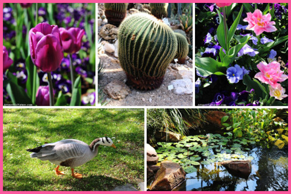Photo Gallery: Inspirational Images to Relax and to Get Creative