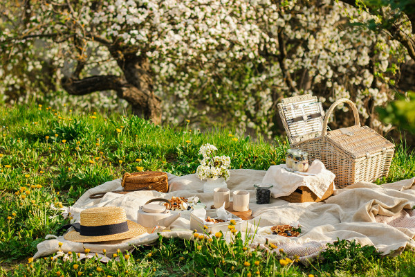 From Food to Fun: The Ultimate Guide to Organizing a Memorable Picnic