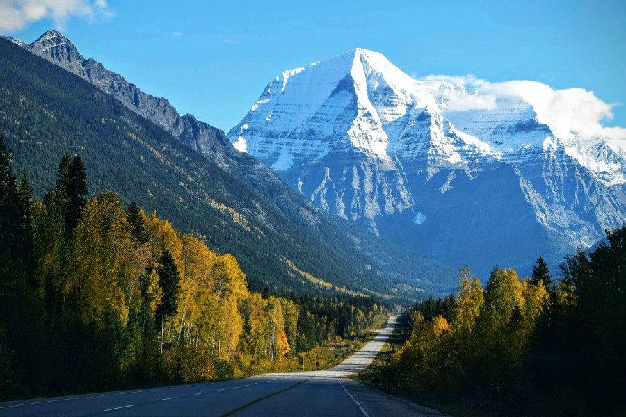 take a scenic drive