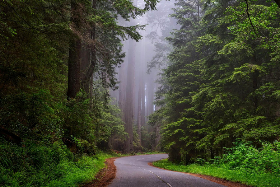 take a scenic drive