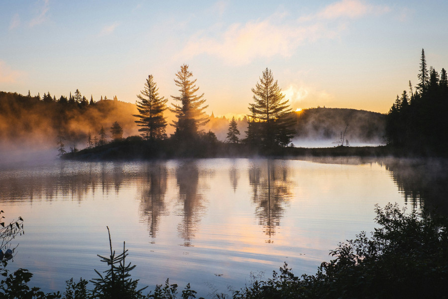 watch the sunrise
