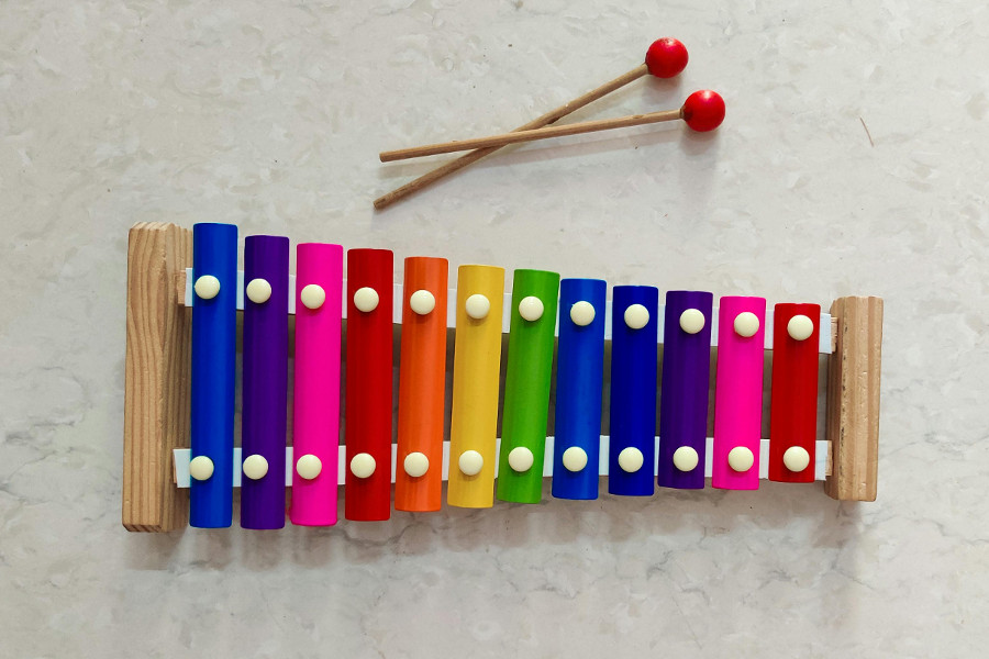 toy musical instrument