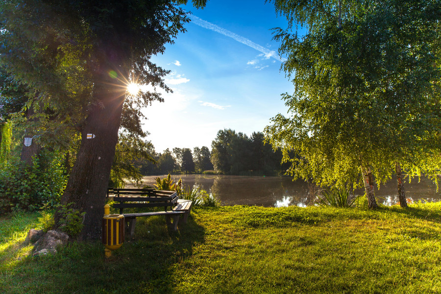 visit an urban park