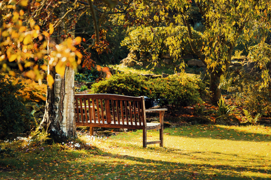 visit an urban park