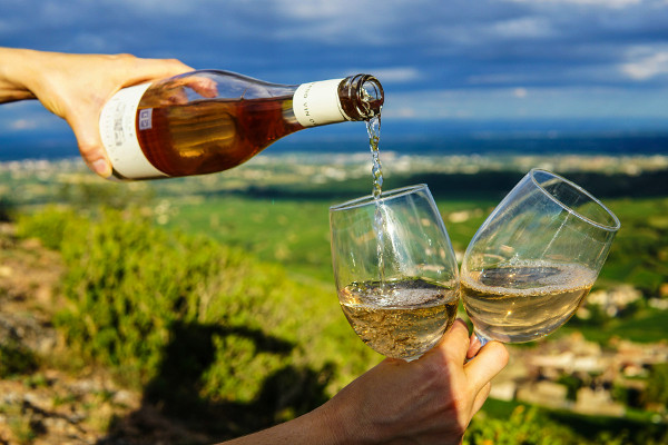 Wine and Wellness: How Vineyards Are Transforming Relaxation