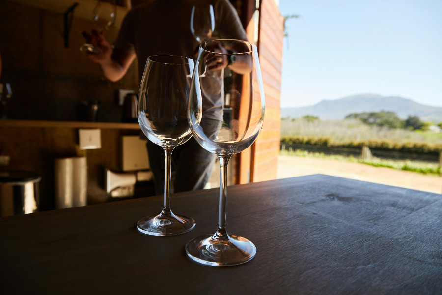 vineyard
