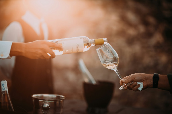 How to Master Wine Tasting: Tips, Techniques, and Expert Insights