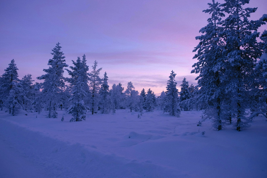 Winter Solstice