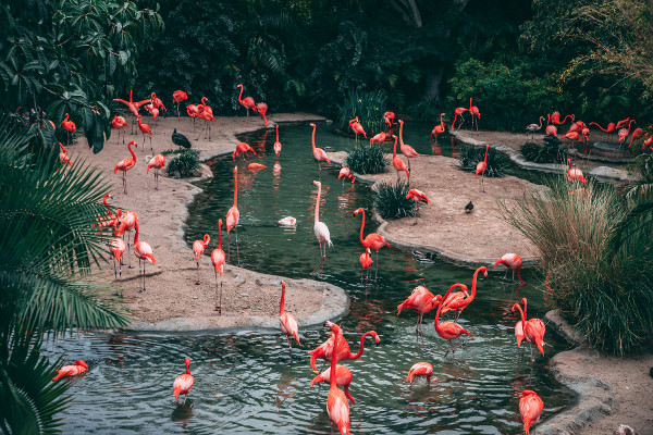 How to Make the Most of Visiting a Zoo: Top Tips